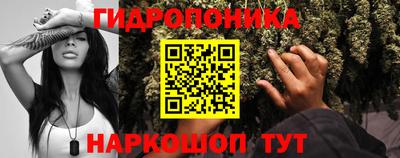 дживик Нальчик